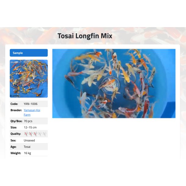 Longfinn Yamasan Koi Farm /  Tosai Mix 6-10cm
