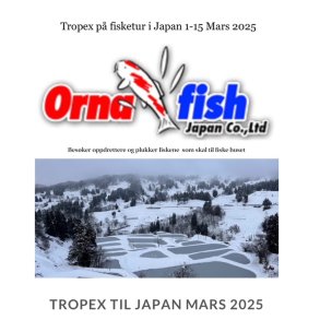 1-15 Mars plukker vi fisk i Japan  for sessongen. Flg turen p FB. 
