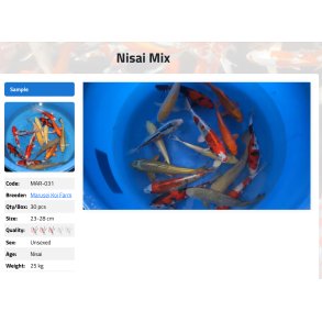 Marusei mix  / 25-32cm 