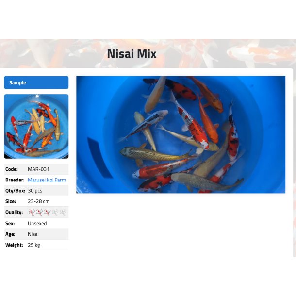 Marusei mix  / 25-32cm 