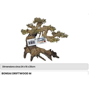 Bonsai tre / ekte / M