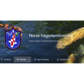 Se reisebrev fra rets fisketur i Japan Mars 2025