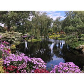 Dampakke Sjef 100m2  EPDM / Totalfilter Combi TCI 30m3  