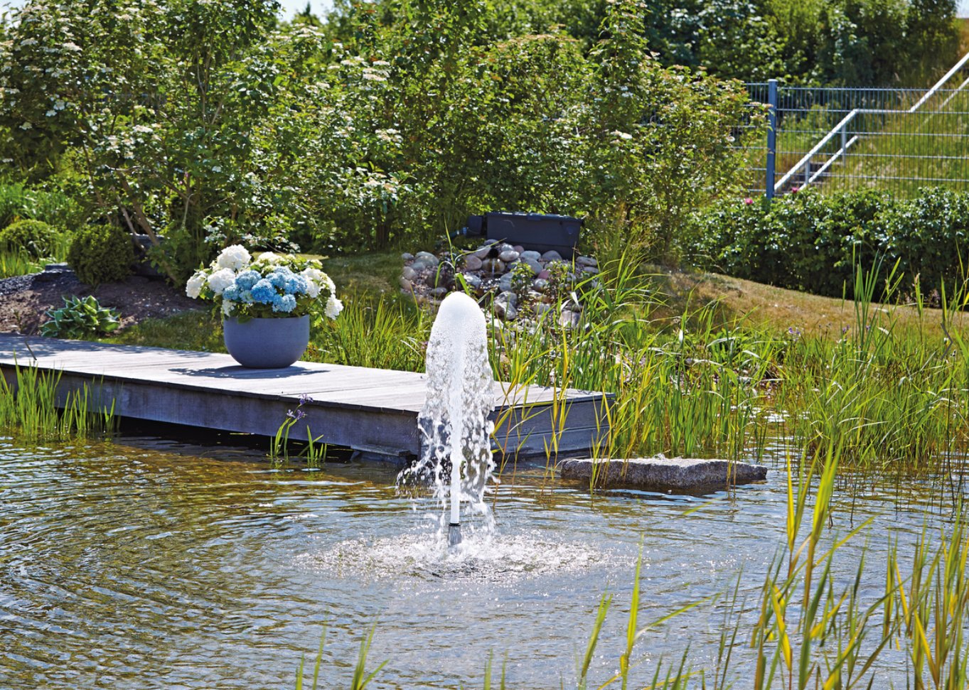 Skumdyse fontenehode / Rustfri 