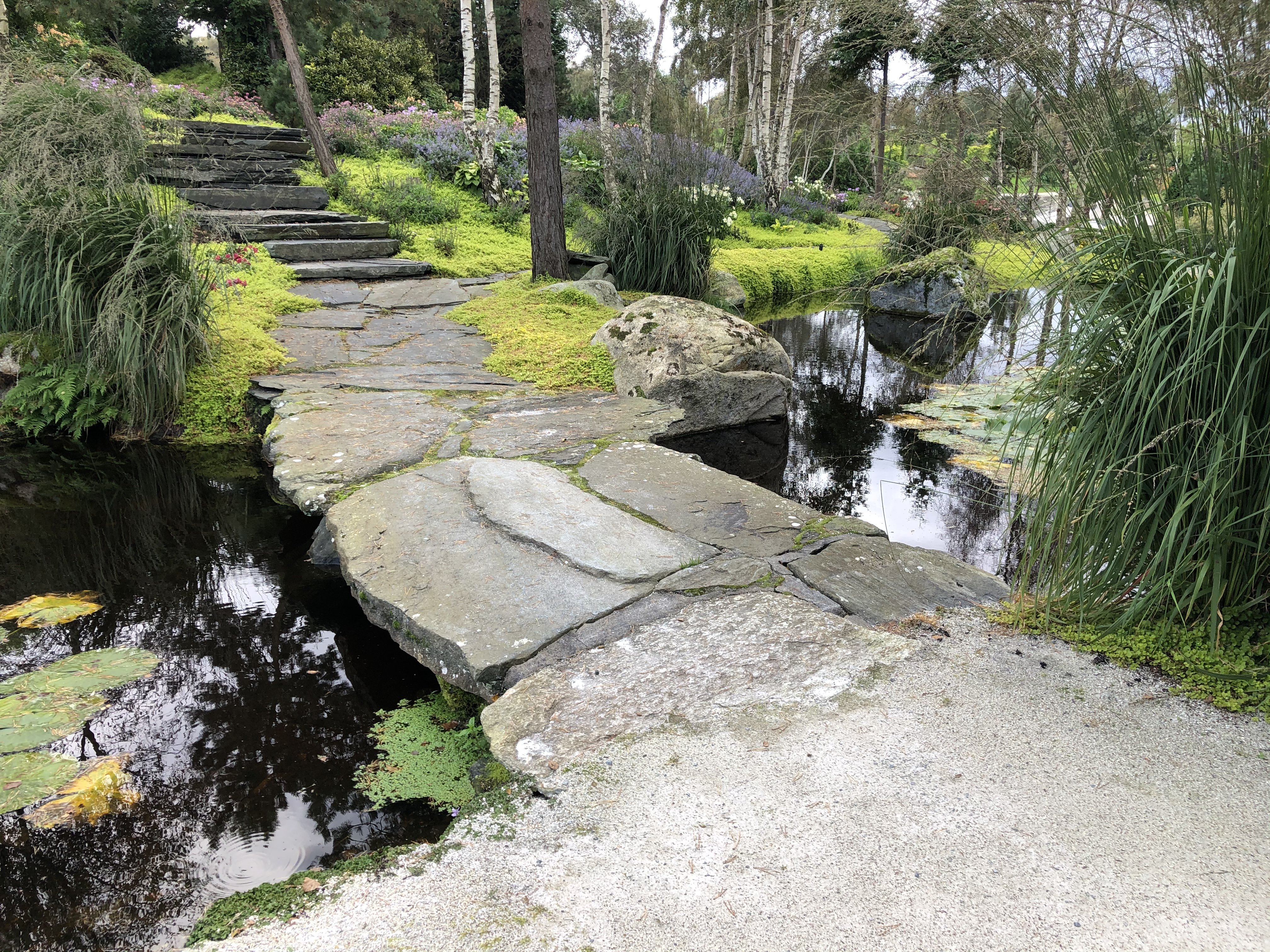 Dampakke 4,5 x 5 EPDM