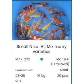 Marusei  2 ringer / 23-28cm 