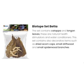 Biotop sett / Betta (kampfisk) 