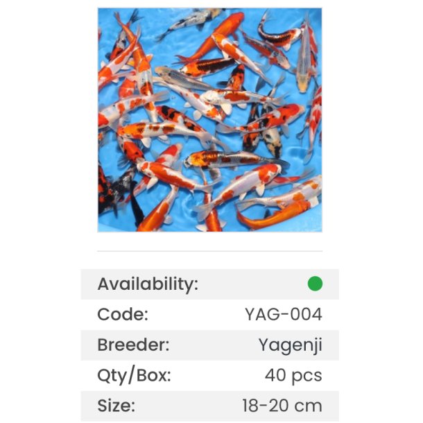 Jagenji Mix / 1 ringer / 18-20cm 