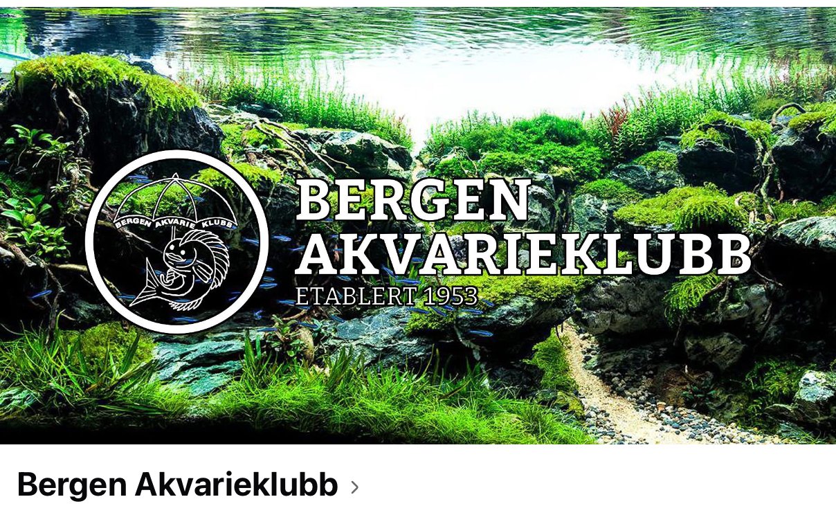 Bergen Akvarieklubb / Auksjon og konferanse 24-26 April 2026 