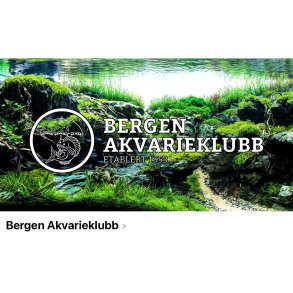 Bergen Akvarieklubb / Auksjon 26 Oktober 2025 