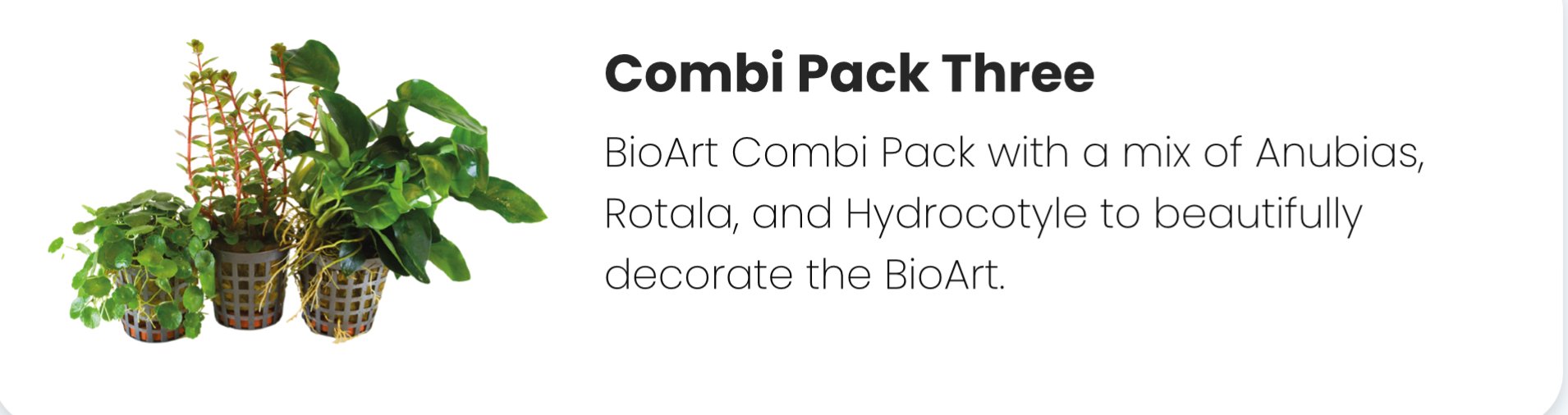 BioArt Combi pakke 3 / Anubias, Rotola og Hydrocotyle 