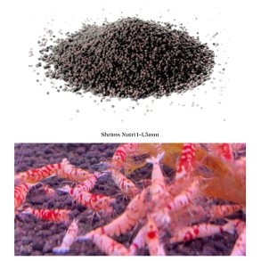 Rekemat Nutri / Lsvekt 100g - 1000g