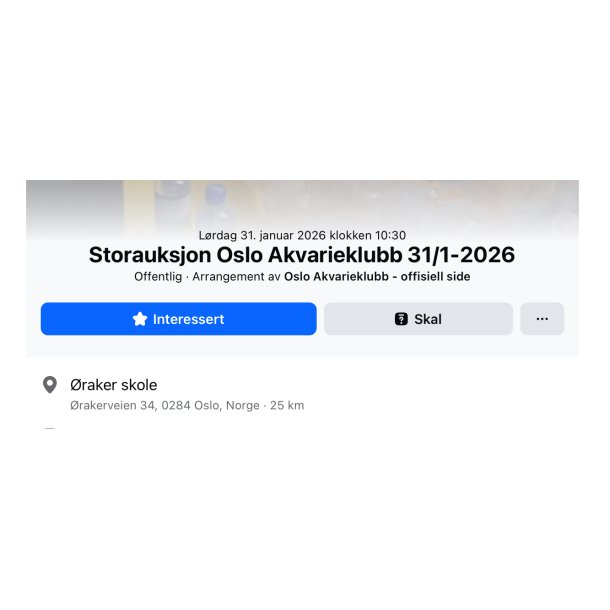 Oslo Akvarieklubb / Auksjon 31 Jannuar 2025 