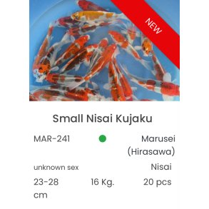 Marusei  2 ringer / 23-28cm 