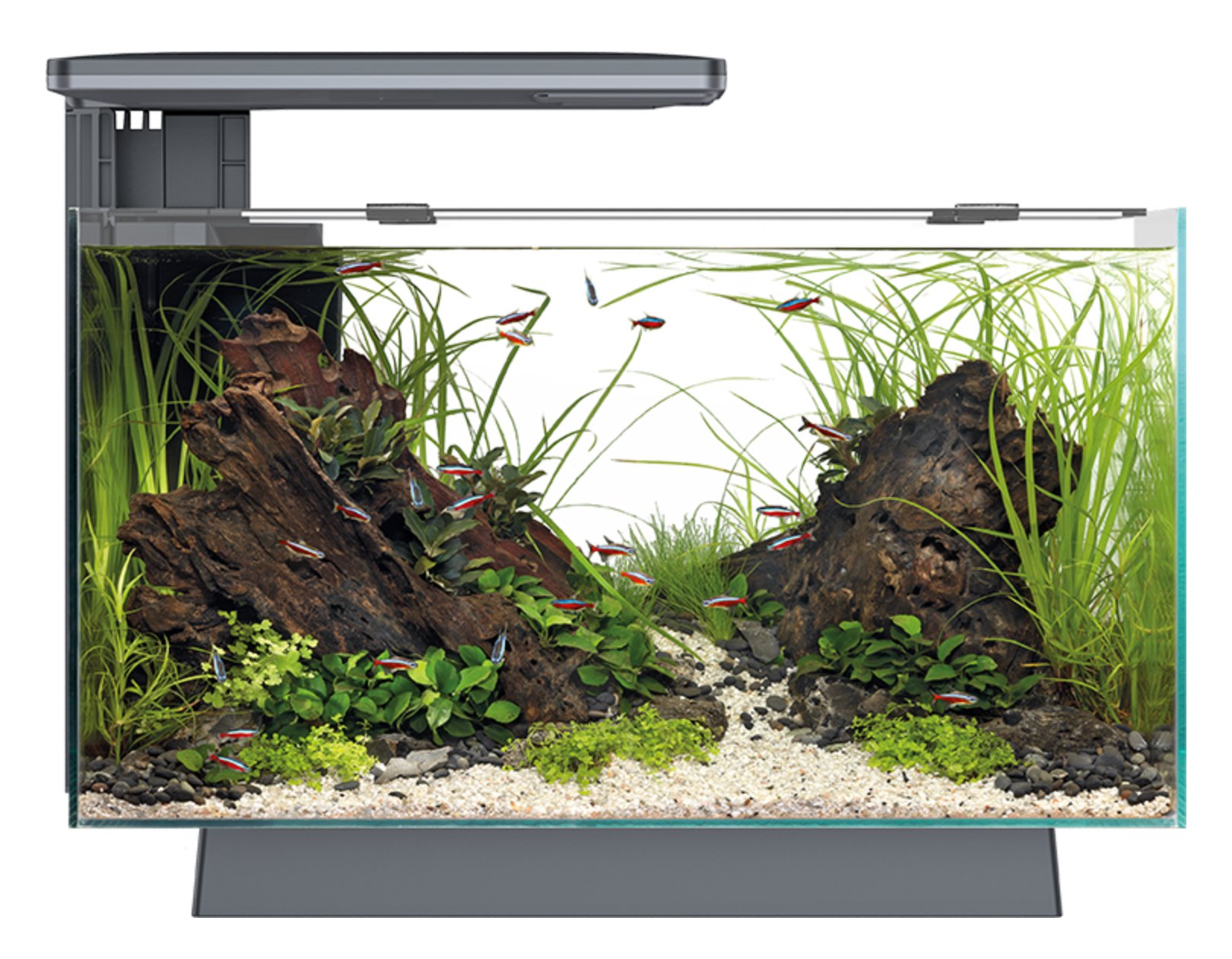 Akvarium sett komplett  / Quadro 70 Multi Color�+ Lys + Design Bord + Lysstyring ++