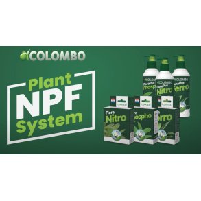 Aquascaping plante tester og tilskudds pakke / Colombo-Tropex Spesialpakke 