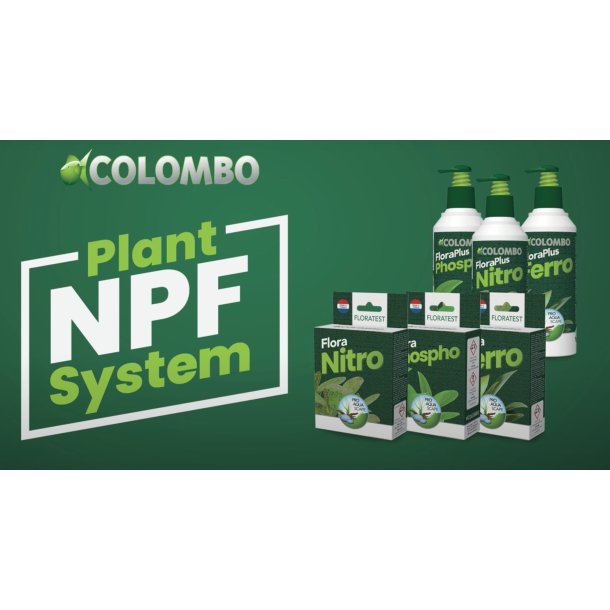 Aquascaping plante tester og tilskudds pakke / Colombo-Tropex Spesialpakke 