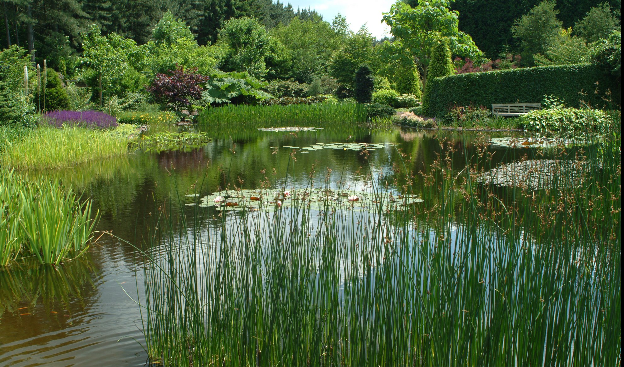 Dampakke proff 100m2  EPDM /  Dam for sump med Trommel 